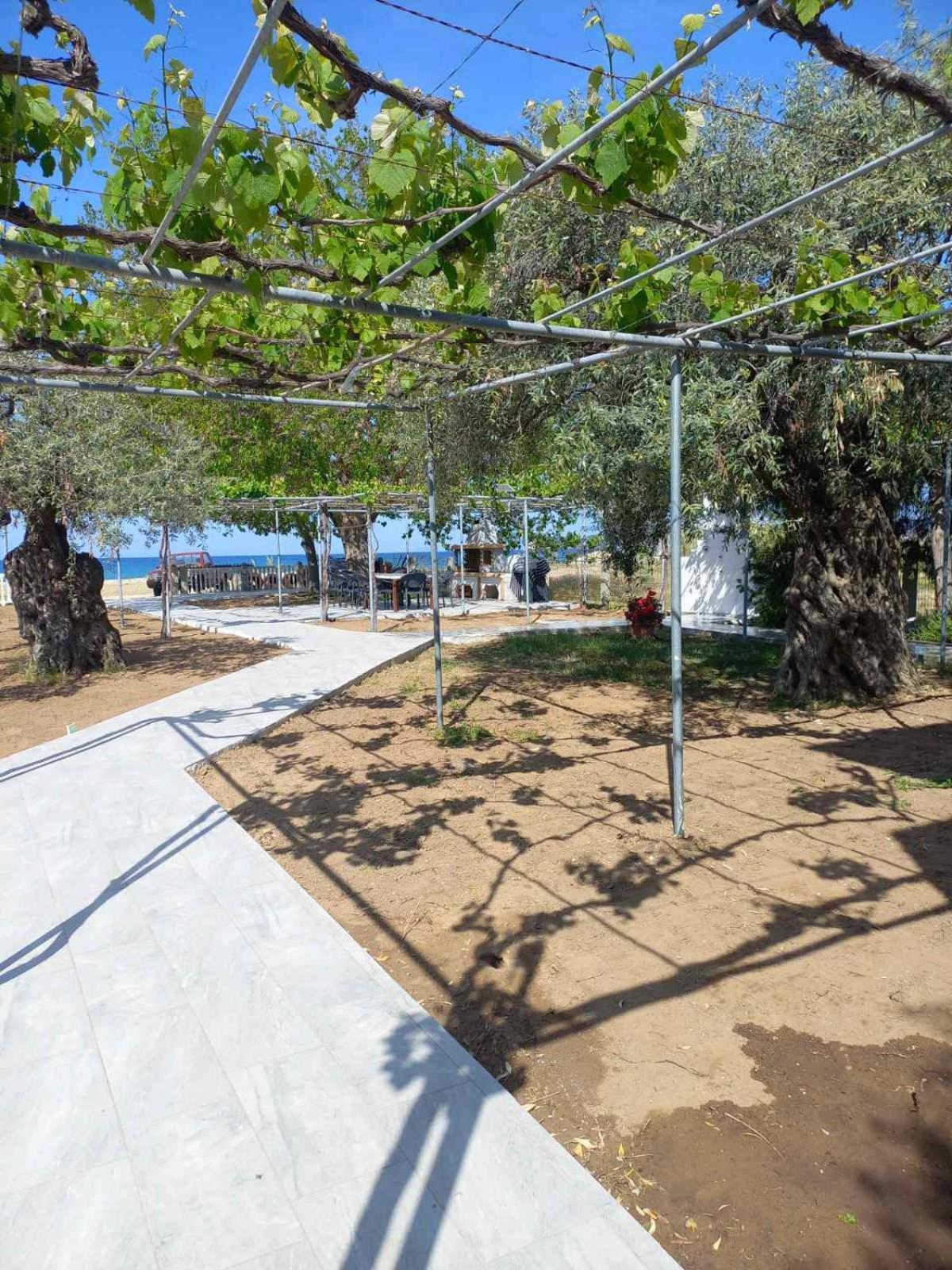 Opalium Beach Front Suites Potos Exterior foto